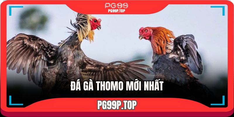 da-ga-thomo-moi-nhat